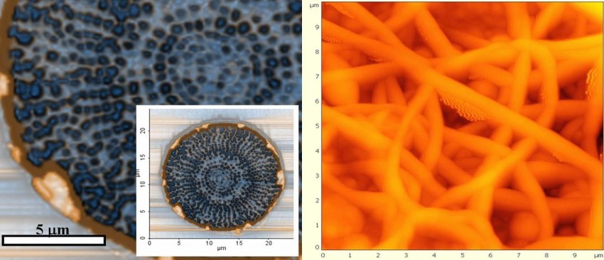 Acoustic Force Atomic Microscopy image of a conjugated fiber (Islands on the Sea) containing 1120 nanofibers of polyester in a sea of polyethylene (L). Electrostatic Force Microscopy of a  nanofiber nonwoven web used in electret filtration media (R)