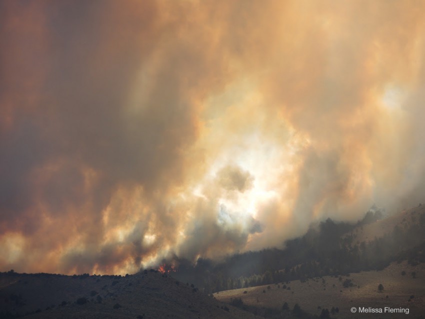 Walker Fire, California 2015