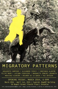 migratory patterns aficheweb-final