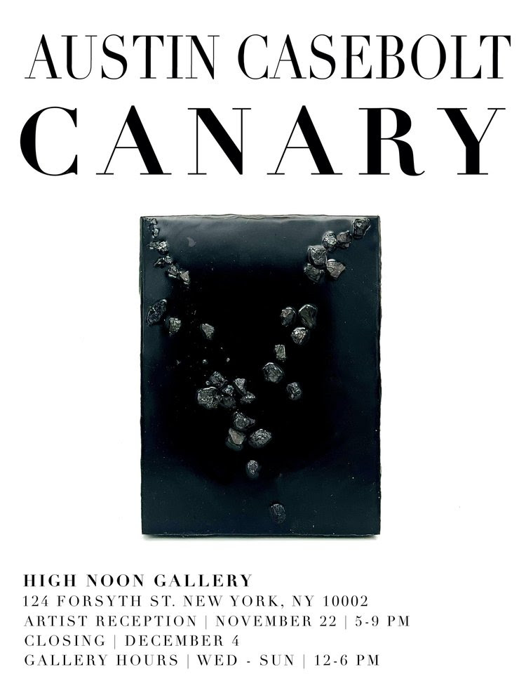 Congratulations to our recent MFA alum Austin Casebolt on the exhibition CANARY, presented at High Noon Gallery.