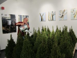 Staff Highlight: Michael Palumbo exhibits “Tree Farm” at URI Fine Arts Center