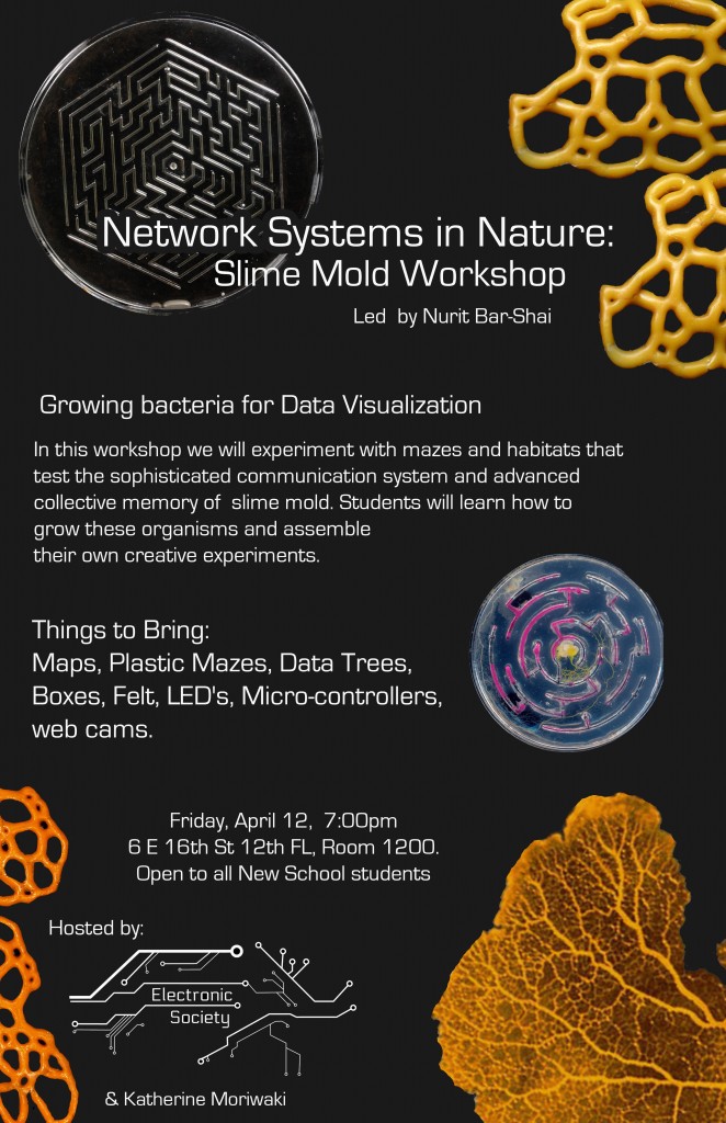 Network Systems in Nature: Slime Mold Workshop